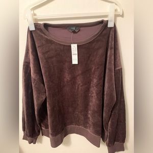 Chocolate Brown J Crew Velour Sweatshirt